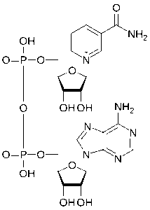 Nad+ molecular structure XL Peptides