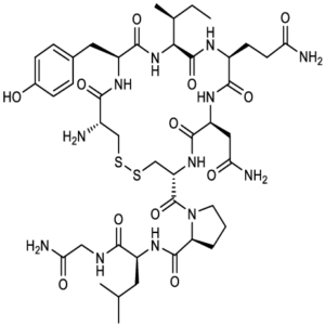 Oxytocin molecular structure XL Peptides
