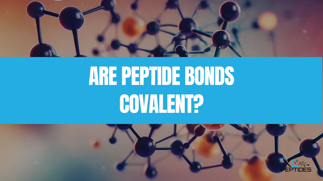 Are Peptide Bonds Covalent?