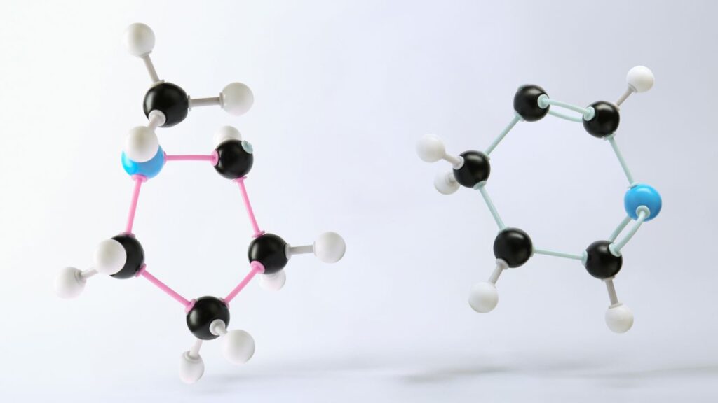 Can Peptide Bonds Be Broken 1