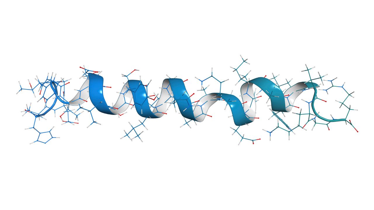What are peptides